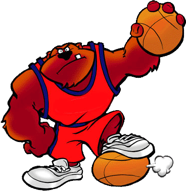 casipurobaske's profile picture. Support high school and college sports!!