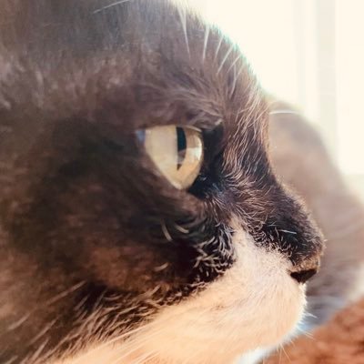 s0833k's profile picture. 観た映画の事をつぶやきます🎥 邦画・感動する映画が好きです。 でも、いろいろ観ます🎬よく泣きます😭 好きな野菜は小松菜、好きな花は杉咲花です。好きなアンナは山田杏奈。