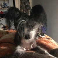 Kat Vilnis (@katvilnis) 's Twitter Profile
