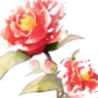 とり (@bunchotc) 's Twitter Profile Photo とり (@bunchotc) 's Twitter Profile Photo