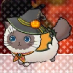 黒猫(TN : ともえ)さんのプロフィール画像