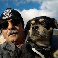 renato walder (@renatowalder) Twitter profile photo