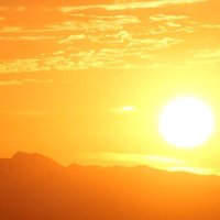 Jose German Mendoza (@josemendoza9519) 's Twitter Profile