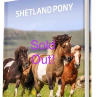 SHETLAND PONY BOOK(@shetlandbook) 's Twitter Profile Photo