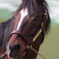 ハル (@masaharu440206) Twitter profile photo