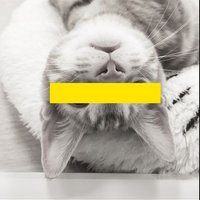 猫背侍 (@necozesamurai) 's Twitter Profile
