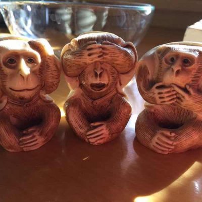 zpy_yuan8888's profile picture. 热爱自然