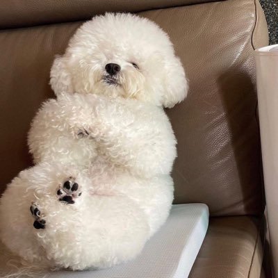 Ganc_e15's profile picture. นักขีดเขียน หวัดดีฮะ เป็นนักเขียนฝึกหัดมือใหม่ชิคชิคฝากด้วยน้า☺️