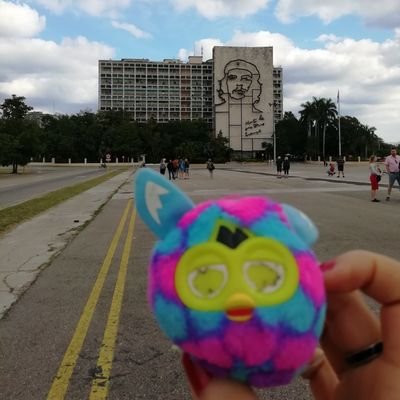 Bima77039963's profile picture. C'est pas normal ici aussi