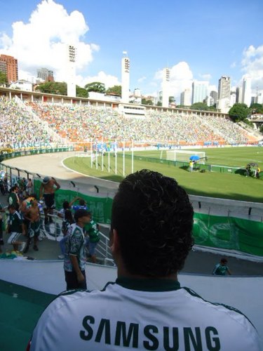 Futuro Engenhriro se Deus Quiser....VIvio intensamente atraves do Meu time Obrigado Palmeiras......