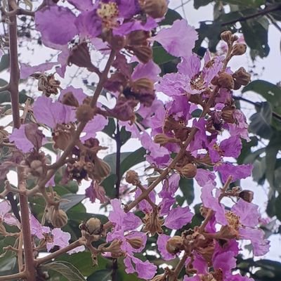 fnyWkEDi9x38RxF's profile picture. หาเพื่อน หาคนคุย fwb ลับๆทักมาครับ