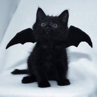 κ°ΰ¦π€ΰ»κ± (@23_ocm) 's Twitter Profile