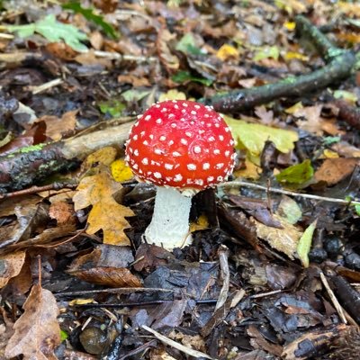 WWhatwedo's profile picture. Sharing our adventures