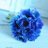 Hello_Aki_0301