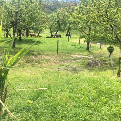 CuriusPlanB's profile picture. Radoveden, skeptičen, rad preverjam informacije, včasih provokativen.  Menim, da so volilci leve opcije zadnjih ducat let bebci. Če te petkrat nategnejo….