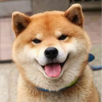 wschew_97's profile picture. 