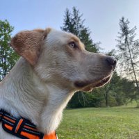 Prince John, Minister für Berge (@john_bergprinz) 's Twitter Profile
