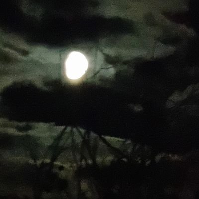 Summayha's profile picture. Someone