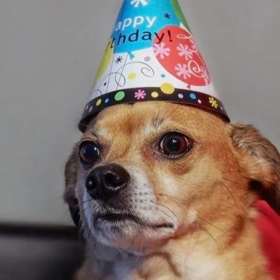 yumurushi's profile picture. Esta wea me hace mal y no va pa ningún lado.