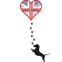 DMT Dachshund Rescue & Support Group(@DMTDRSG) 's Twitter Profile Photo