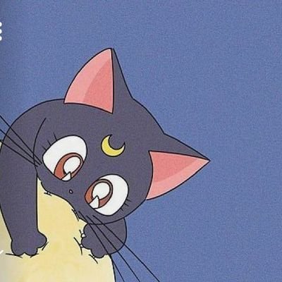 ぷりきゅあさんのプロフィール画像