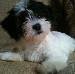 MimiJuan's profile picture. 