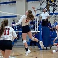 Elly (@elly_stewart_) 's Twitter Profile