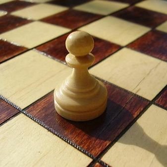 zunwang76's profile picture. 