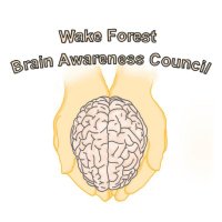 WFU Brain Awareness Council (@bac_wfu) 's Twitter Profile Photo WFU Brain Awareness Council (@bac_wfu) 's Twitter Profile Photo