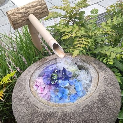 モフモフさんのプロフィール画像