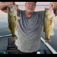 Green Fish Nation(@suits_john) 's Twitter Profile Photo