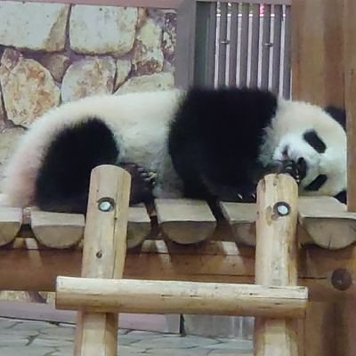 みんのプロフィール写真