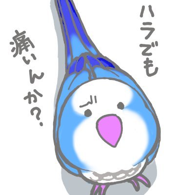 オカメインコだらけ×オキナインコまみれさんのプロフィール画像