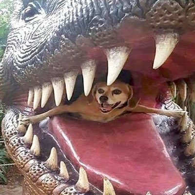 ngowimtume's profile picture. life without God is the same as accompanying the same path with the devil.,