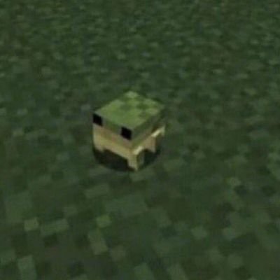 Ur_MomIs_Gay's profile picture. copper golem supremacy