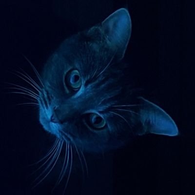 CDNINVEGAS7's profile picture. Husband/Father/Brother/Son.  Cowboys/Leafs/Poker.  Looking forward in life, not back.  Opinions are to be respected, even if not in agreement.