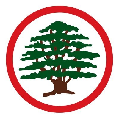 Lebanese Forces News Profile
