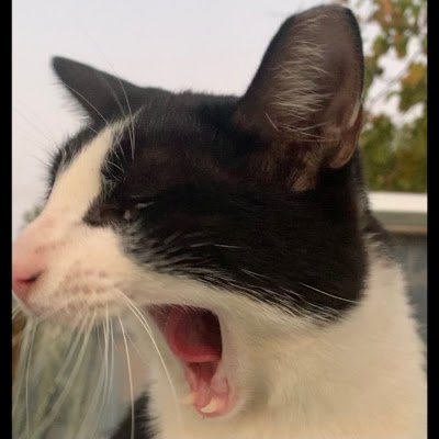 MarioSans7's profile picture. 