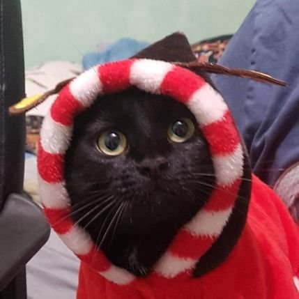 voici ma chaine twitch pour ceux qui veulent passé :D
https://t.co/tQoiLRYhAw