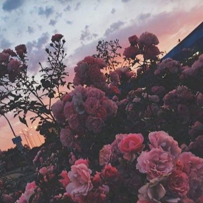 dddadd99's profile picture. 