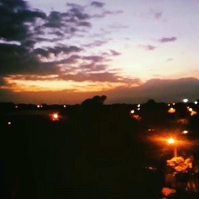 _freetherapy's profile picture. Try to be better, always.