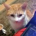 Sir Lord Lordy McLord Face the First, OBE.MBE, SSC (@inger233) Twitter profile photo Sir Lord Lordy McLord Face the First, OBE.MBE, SSC (@inger233) Twitter profile photo