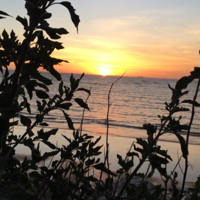 pacosanlucar's profile picture. Sanlucar de Barrameda