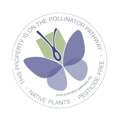 Saving pollinators one native plant at a time!