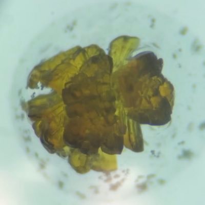 GilbertLi15's profile picture. Maybe a modern alchemist