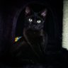 alecuba97's profile picture. alecuba97 (PS5) Content creator