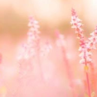 banETSasap's profile picture. 掌蹠多汗症で16歳の時にETS手術を受けました。20年以上経った今も体調不良が続いています。神経を損傷させるETS手術は禁止されるべきと信じています。