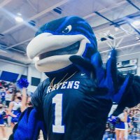 Ray the Raven (@raytheraven_onw) 's Twitter Profile