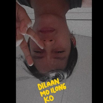 itsmecocomeron's profile picture. cocomeron