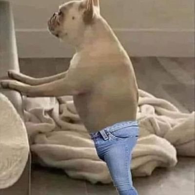 crook_johnny's profile picture. 